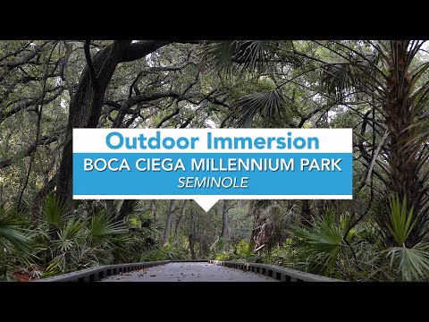 Dog Park at Boca Ciega Millennium Park